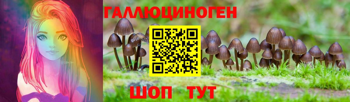 Псилоцибиновые грибы MAGIC MUSHROOMS  Вход с VPN  Нурлат 