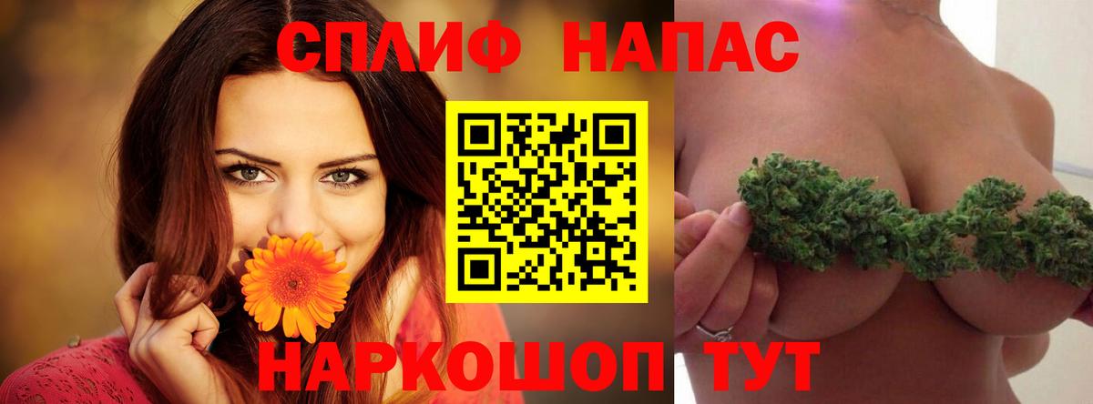 Каннабис планчик  Конопля семена  Каннабис LSD WEED  Вход с VPN  Нурлат 